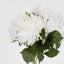 Mum Bush 46cm White