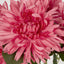 Mum Bush 46cm Yellow - Pack of 24