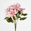 Dahlia Bush x 5 Dark Pink