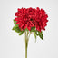Dahlia Bush x 5 Red
