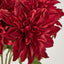 Dahlia Bush x 5 Red