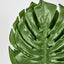 Monstera Leaf Bundle 2 Sizes Green