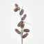 Pine Cone Branch