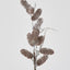 Pine Cone Branch