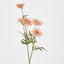 Daisy Spray White Pink 75cm - Pack of 24