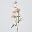 Daisy Spray White Pink 75cm - Pack of 24