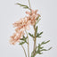 Daisy Spray White Pink 75cm - Pack of 24