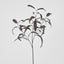 Halloween Willow Eucalyptus Black Spray 72cm (Set of 12)
