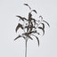 Halloween Willow Eucalyptus Black Spray 72cm (Set of 12)