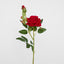 Rose Stem With Bud Red - Pack of 60