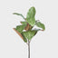 Magnolia Leaf - Pack of 12