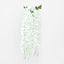 Hanging Vanda Orchid Spray