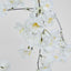 Trailing Cherry Blossom Stem White - Pack of 12