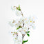Cherry Blossom Stem White Pink