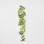 Variegated Taro Leaf Garland