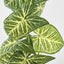 Variegated Taro Leaf Garland