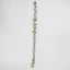 Lamb's Ear Garland