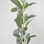 Lamb's Ear Garland