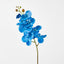 Phalaenopsis Spray Electric Blue
