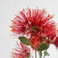 Pohutukawa Stem