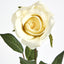 Long Stem Rose Pale Yellow - Pack of 24