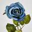Long Stem Rose Blue - Pack of 24