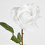 Long Stem Rose Pure White - Pack of 24