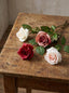Long Stem Rose Red - Pack of 24