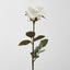 Long Stem Rose White - Pack of 24