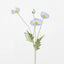Poppy Spray Light Blue