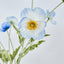 Poppy Spray Light Blue