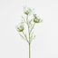 Queen Anne's Lace Spray White - Pack of 12