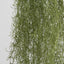 Spanish Moss Dark Green