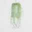 Spanish Moss Grey Green