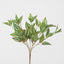 Wandering Jew leaf Spray Green