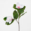 Magnolia Stem Pink