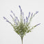 Lavender Bush Light Purple