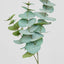 Eucalyptus Spray Grey Green