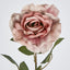 Rose Stem Dusty Pink