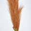Pampas Grass Spray 3 Stems Brown