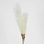 Pampas Grass Spray 3 Stems Cream - Pack of 24