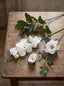 Southern Magnolia Branch - Pack of 12