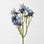 Sea Aster Blue - Pack of 24