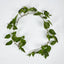 Pothos Garland UV Protected 150cm Green (Set of 6)