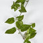 Pothos Garland UV Protected 150cm Green (Set of 6)