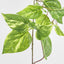 Pothos Garland UV Protected 150cm Light Green (Set of 6)