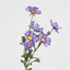 Cosmos Spray 85cm Dark Purple