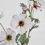 Cosmos Spray 85cm Pale Pink - Pack of 36