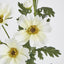 Cosmos Spray 85cm White