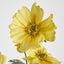 Cosmos Spray 85cm Yellow - Pack of 36